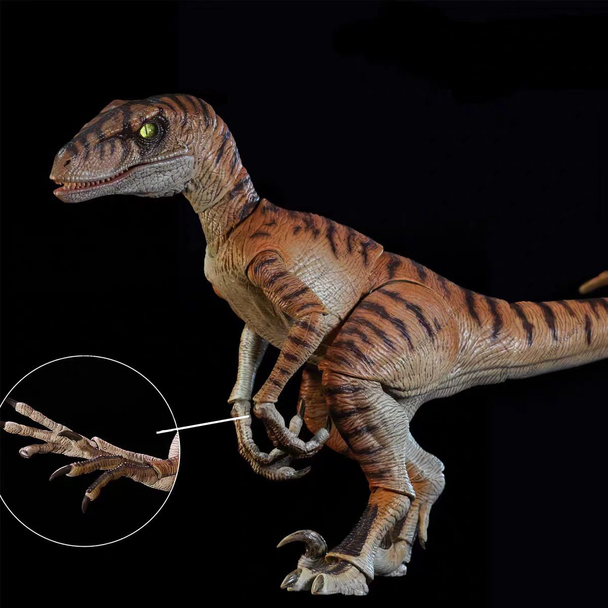 تمثال ديناصور جديد كليًا من نا - مراجعة Model Kit Dinosaur Bandai وسعره