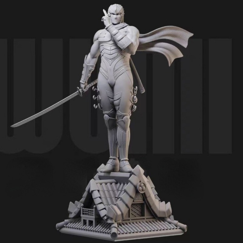شكل راتنج النينجا ريو الأسود ا - مراجعة Model Kit Ninja وسعره