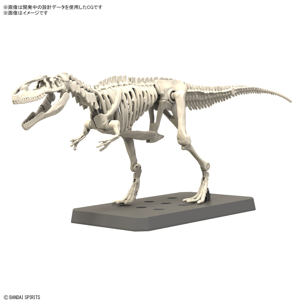 متوفر في المخزون: نموذج تجميعي - مراجعة Model Kit Dinosaur Bandai وسعره