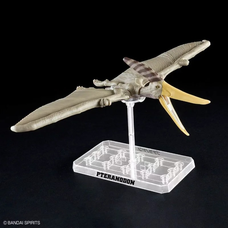 نموذج تجميعي لعظام الديناصور ب - مراجعة Model Kit Dinosaur Bandai وسعره