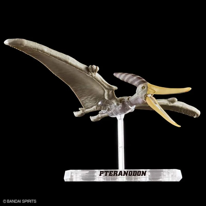 نموذج تجميعي لعظام الديناصور ب - مراجعة Model Kit Dinosaur Bandai وسعره